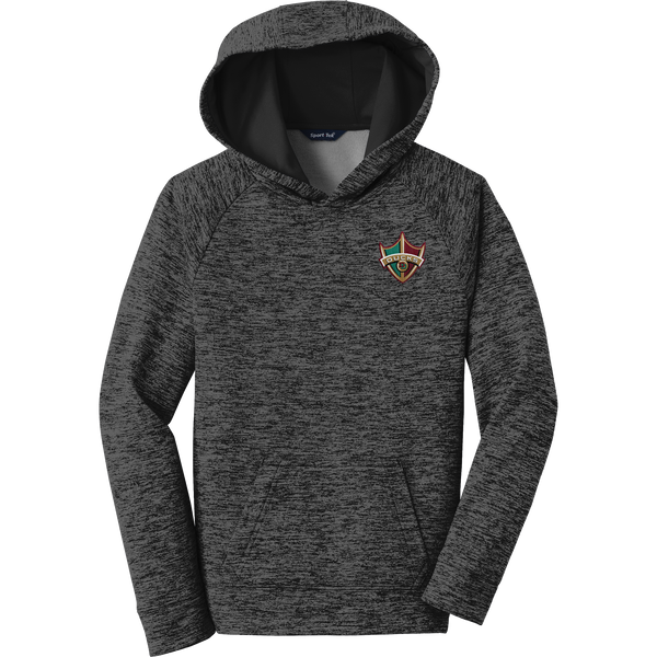 Delaware Ducks Youth PosiCharge Electric Heather Fleece Hooded Pullover